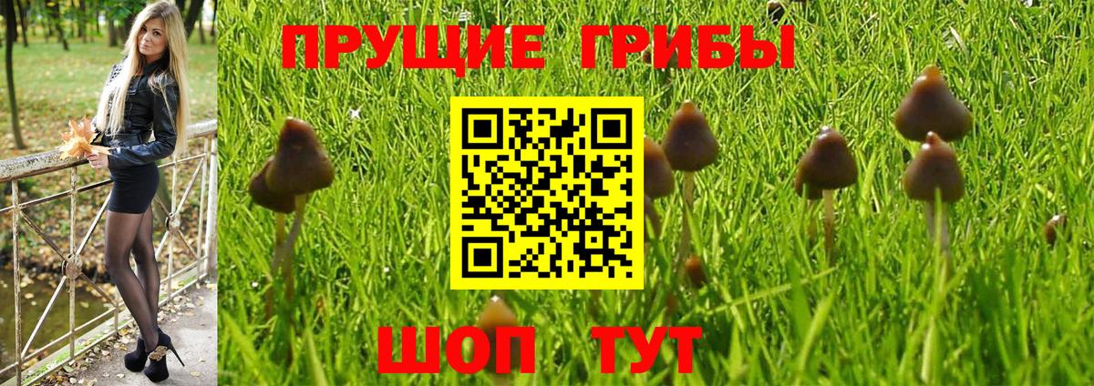 Галлюциногенные грибы Magic Shrooms  Псилоцибиновые грибы ЛСД  Каменка  Вход с VPN 