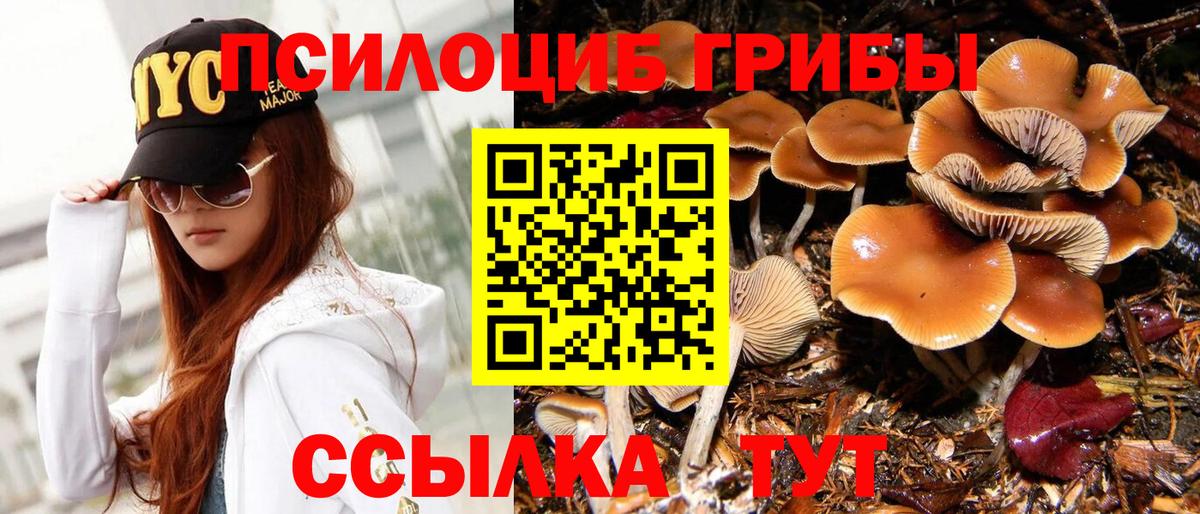 Псилоцибиновые грибы MAGIC MUSHROOMS Каменка